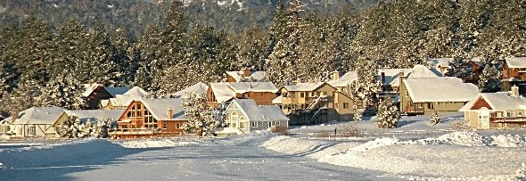 snow fall early morning banner