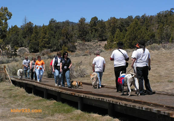 The Alpine Pedal Path was packed with those in support of Walk MS on the 18th, a sunny spring morning.