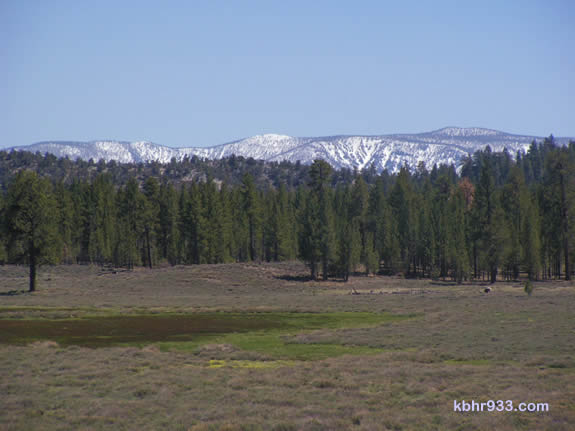 Holcomb Valley, pictured here in May, was once the site of the richest gold strike in Southern California history.