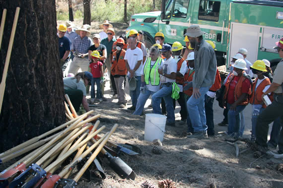 The 100+ volunteers who participated in the September 26 restoration day also worked along a dozer line created for the Butler Fire, replanting the area near Big Pine Flats Campground, after getting their morning training.