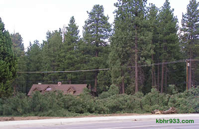 The Moonridge Y (here, in August 2007, during tree removal) had been home to 55 trees. The Y had once been home to Fastlane Ski and Board Shop and, in the '80s, French's Nursery.