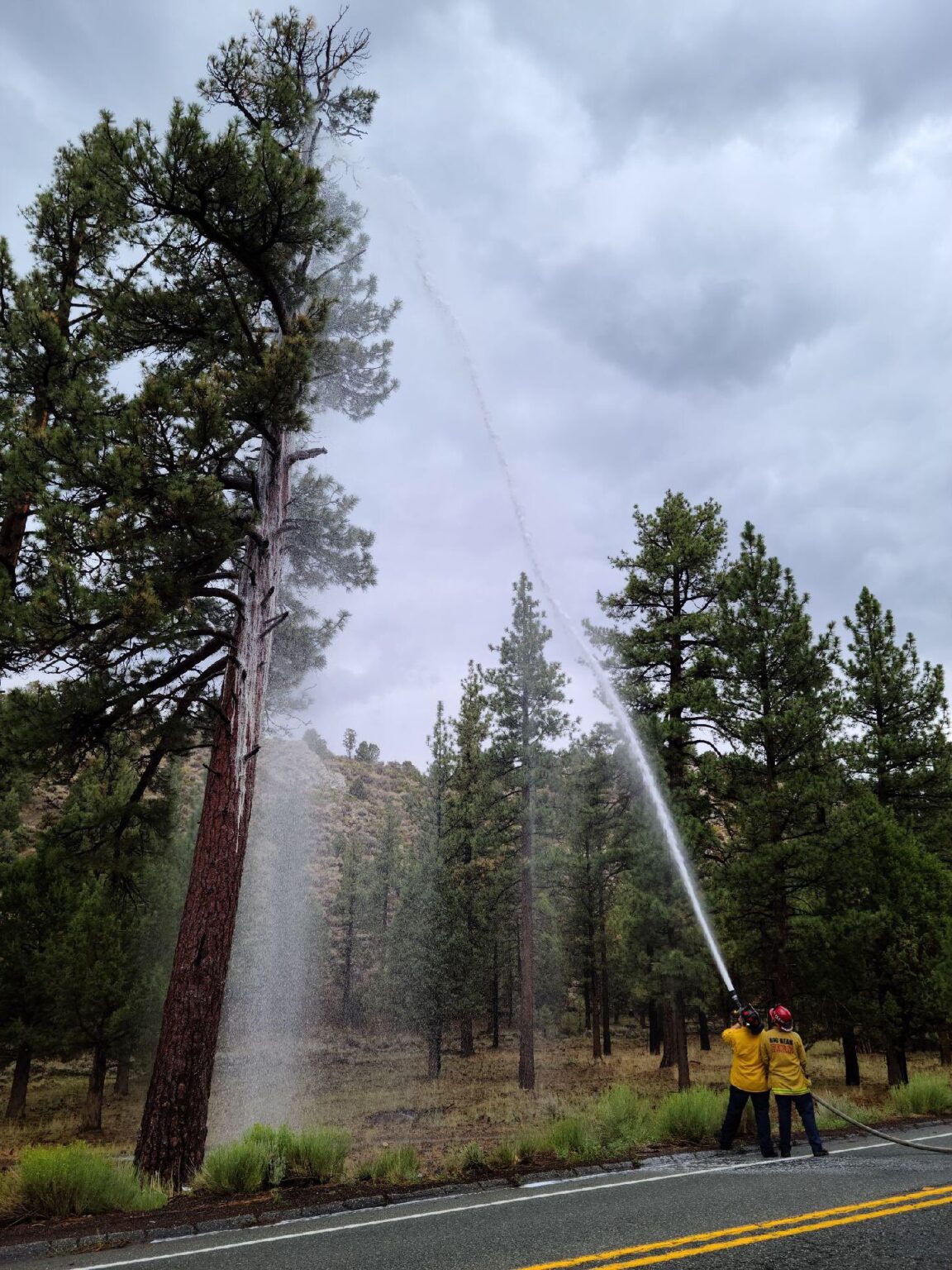 Highway 38 is Now Open to Big Bear