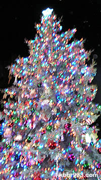 The Christmas tree in the Village of Big Bear Lake
