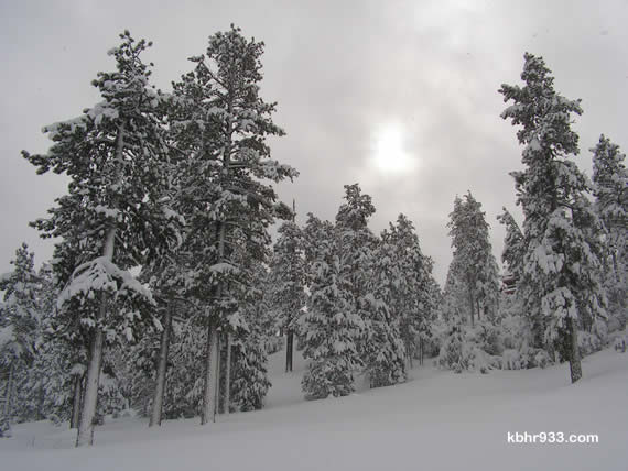 We got a glimpse of sunshine on Friday, late morning, but then the snow continued... with current totals around 44 inches for the day, as of Friday afternoon.