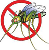 west-nile-virus-mosquito